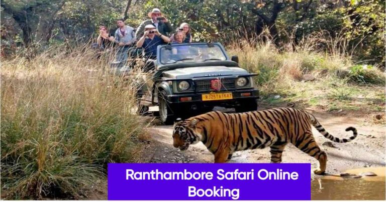 Ranthambore Safari Online Booking