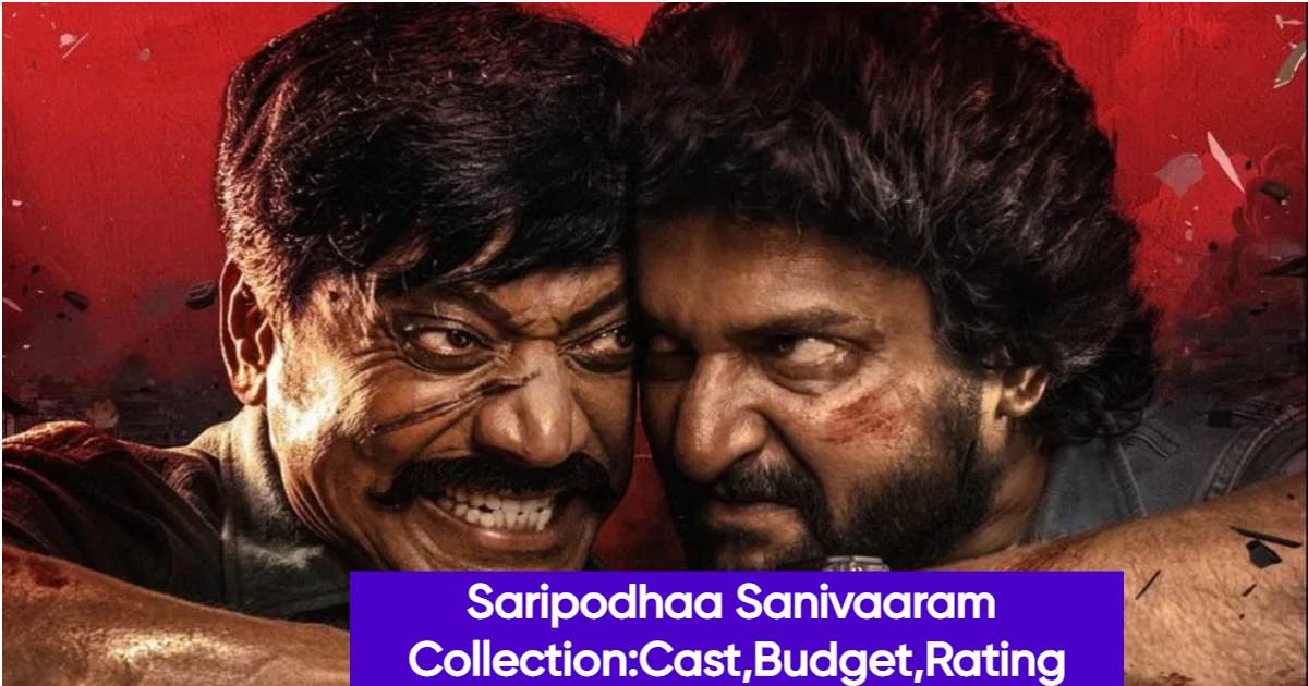 Saripodhaa Sanivaaram Collection